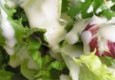 Zelena salata sa mladim sirom i gorgonzolom