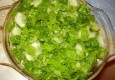 Zelena salata sa krastavcima