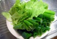 Zelena salata sa mladim lukom