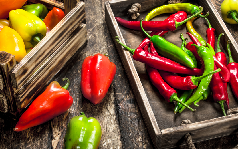Paprika