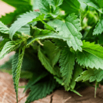 Pita od žare - Recept